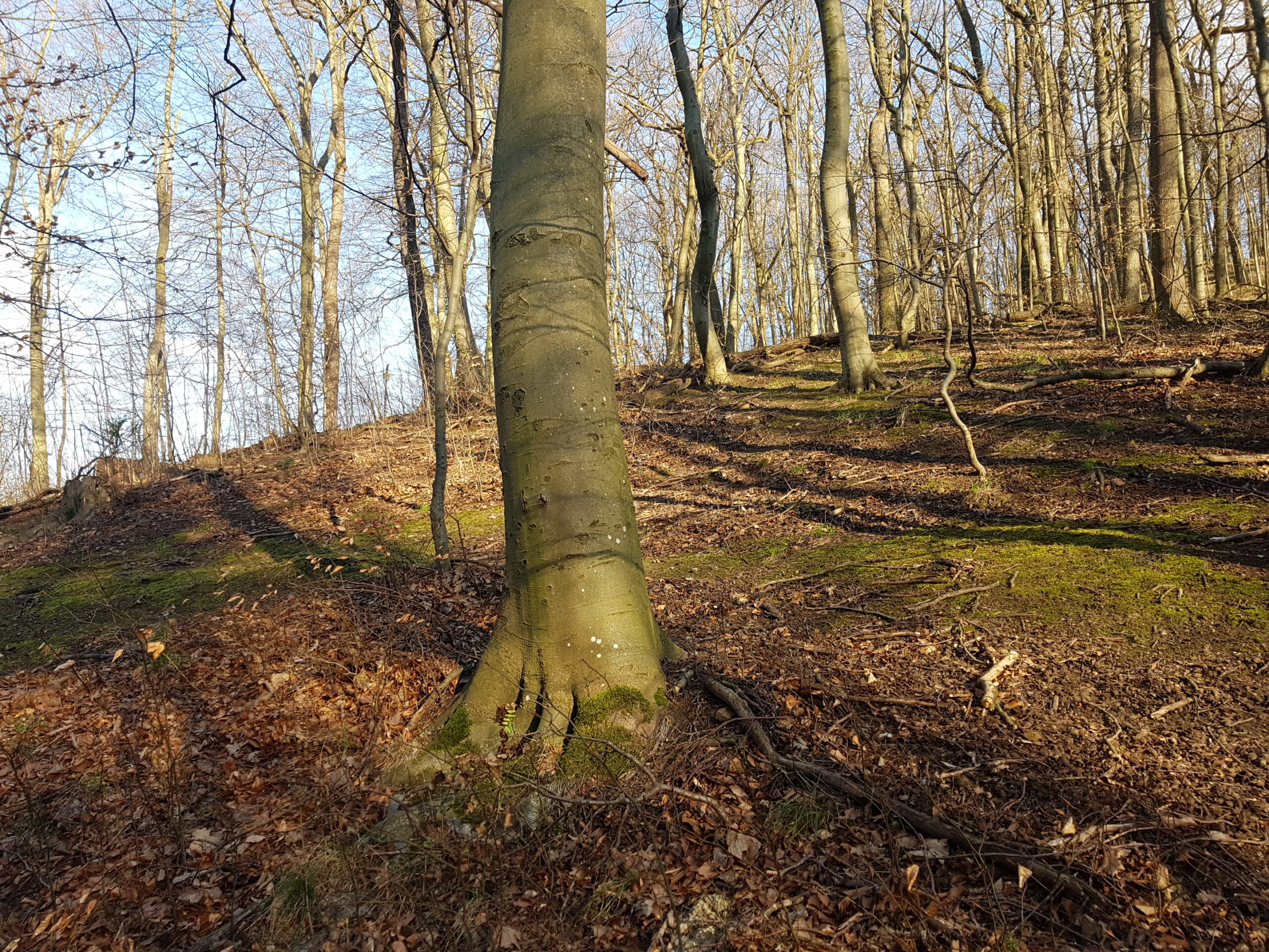 Wegspuren