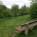 Bank auf Wiese im Dehnepark